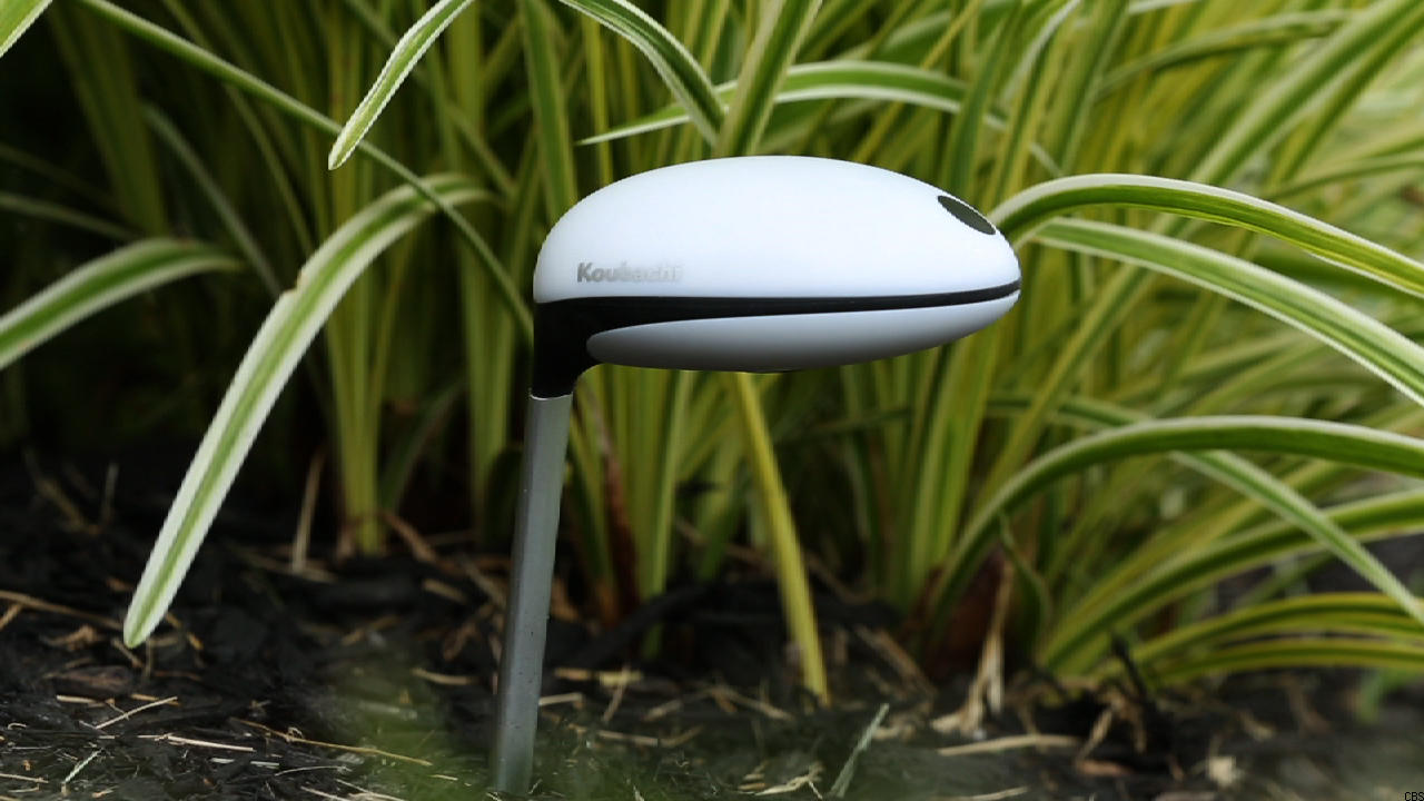 Kuobachi создала устройство Plant Sensor Outdoor 2